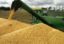 Датская компания с активами в Украине Trigon Agri увеличила чистый убыток почти в 4 раза