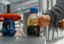 Специалисты «Транснефти» обнаружили пятно нефтепродуктов в Самарской области