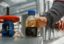 ВБ: цена нефти в 2016 году не превысит $37 за баррель, в 2017 году — вырастет до $48