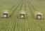 Агрохолдинг Trigon Agri просит о реструктуризации еврооблигаций на $43 млн