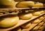 Американский рынок страдает от перепроизводства сельхозпродукции