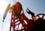 Путин: справедливая цена на нефть может быть чуть выше, чем сейчас