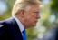 Bloomberg: Трампа во время визита в Китай будут сопровождать около 40 глав корпораций США