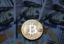 Курс биткойна за сутки вырос на 11,7% — до $16,8 тыс.