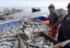Эксперты ожидают роста доходов рыбаков в РФ при сохранении квот по историческому принципу