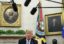 Трамп заявил, что пока не будет предпринимать никаких шагов в отношении ВТО