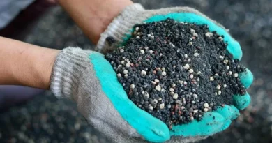 Gloved hands holding nutrient-rich soil with fertilizer granules